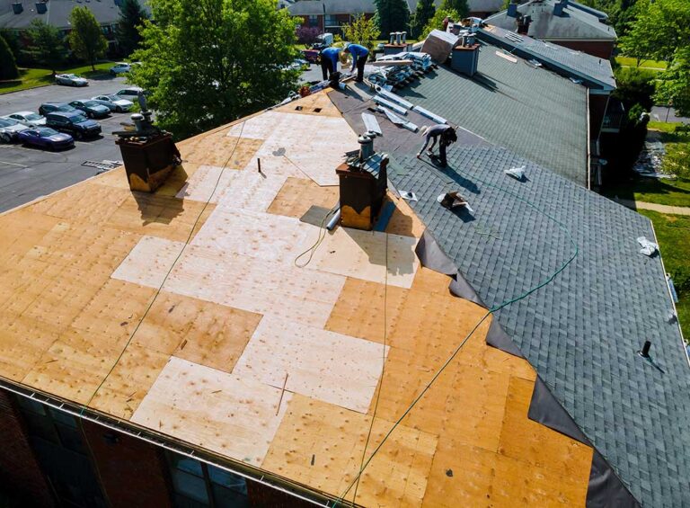 A person using a garden sprayer to clean dark streaks from asphalt shingles on a sloped roof.